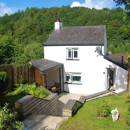 Peacock Cottage Cinderford Εξωτερικό φωτογραφία
