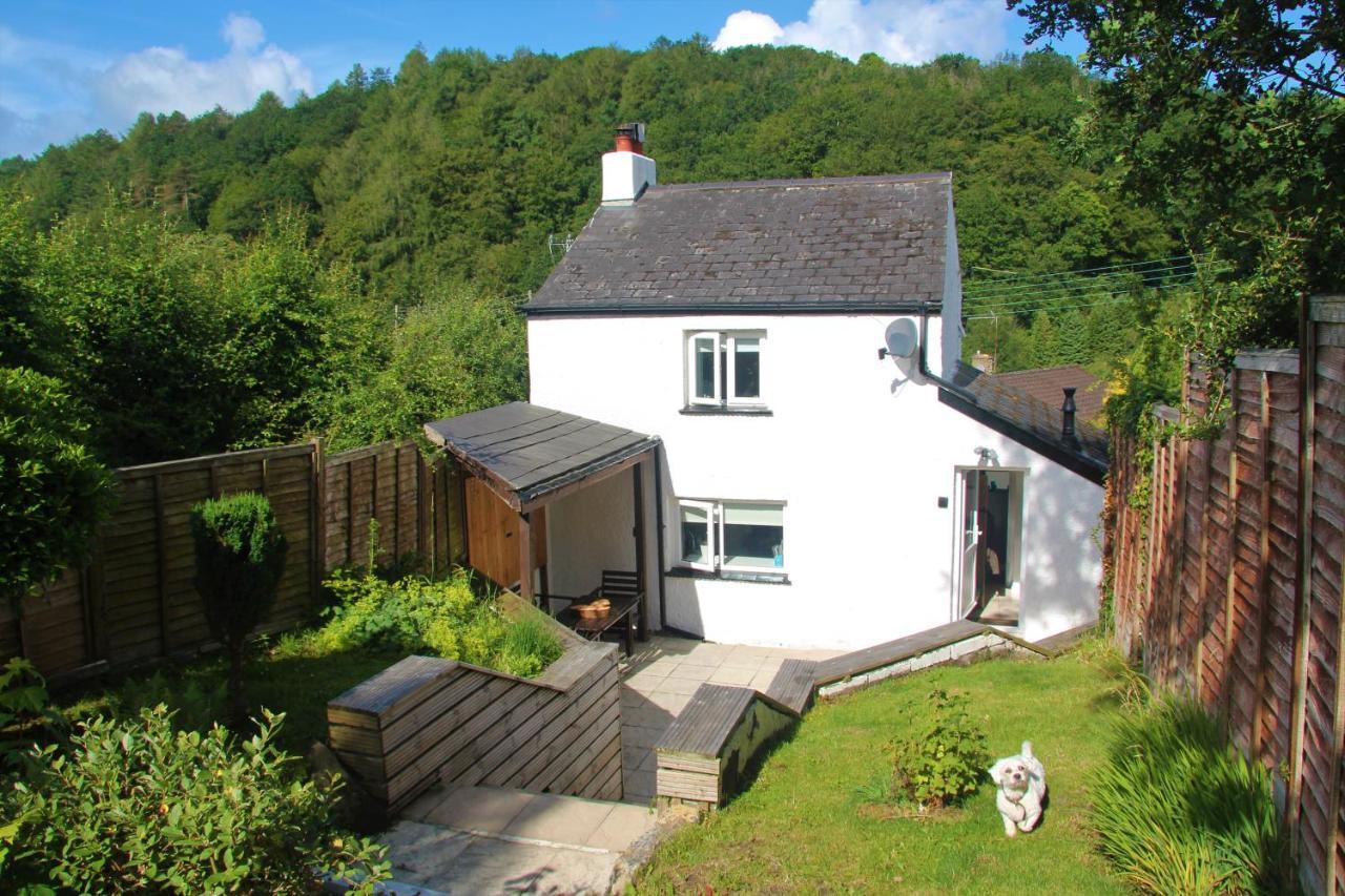 Peacock Cottage Cinderford Εξωτερικό φωτογραφία
